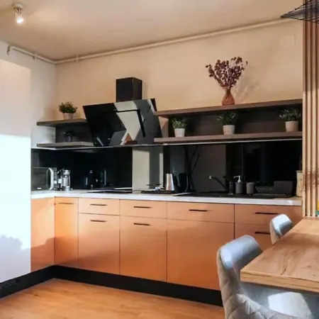 Designer Loft In Center W Parking And Queen Bed Apartmán Kluž