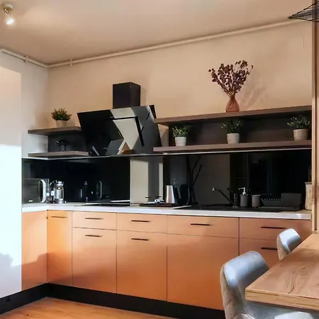 Apartmán Designer Loft In Center W Parking And Queen Bed Kluž