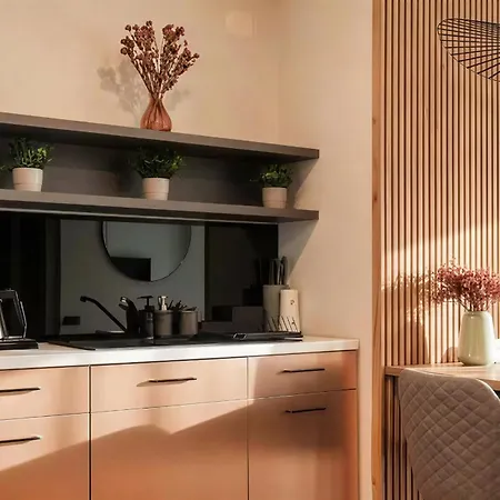 Designer Loft In Center W Parking And Queen Bed Kluž